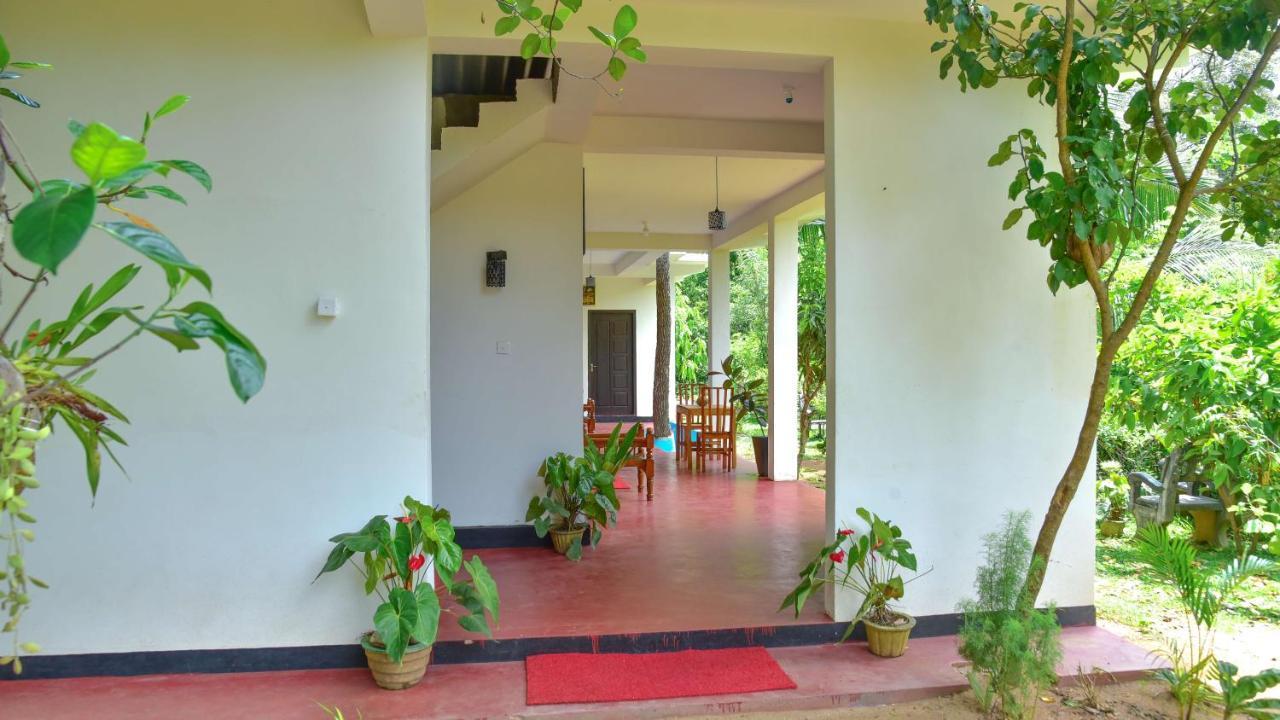 Smashing Inn Dambulla Exteriér fotografie