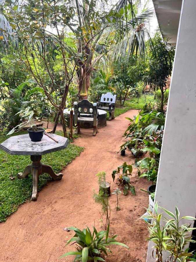 Smashing Inn Dambulla Exteriér fotografie