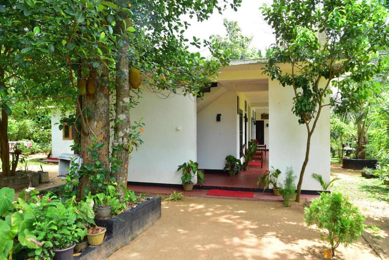 Smashing Inn Dambulla Exteriér fotografie
