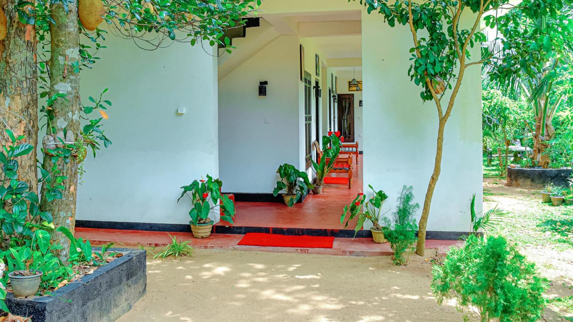 Smashing Inn Dambulla Exteriér fotografie